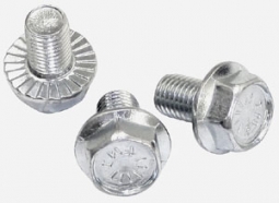 Cam Gear Bolts