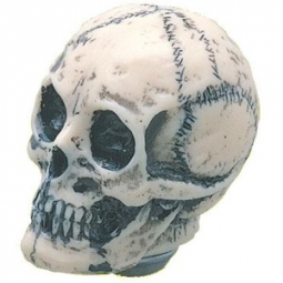 Resin Skull Shift Knob